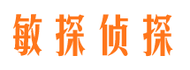 鹤峰侦探公司